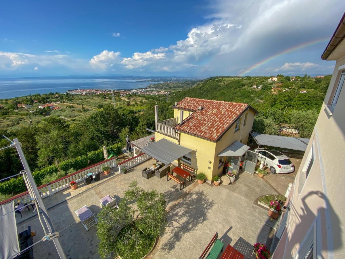 Viler Izola
