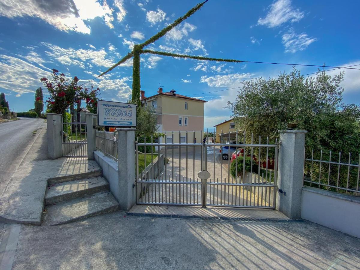 Viler * Izola