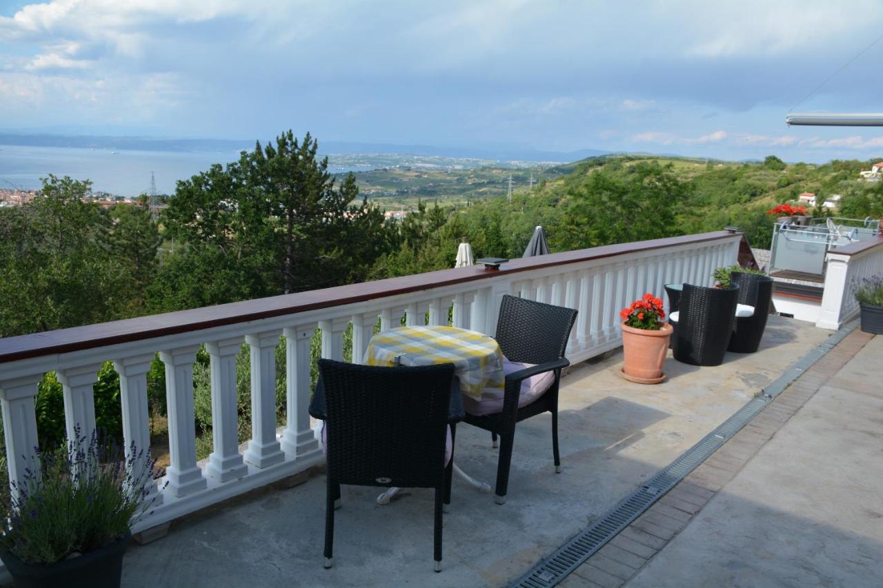 Viler Izola