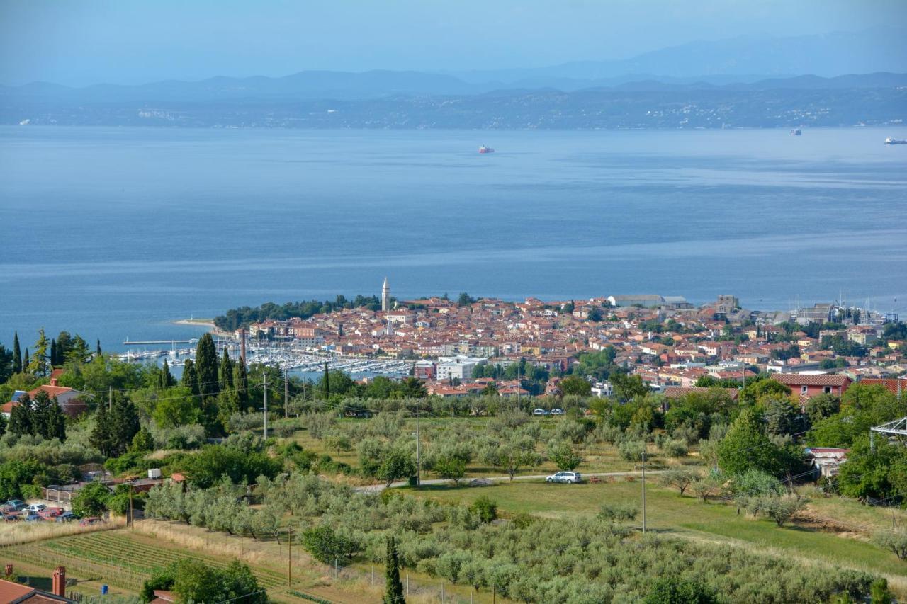 Viler Izola